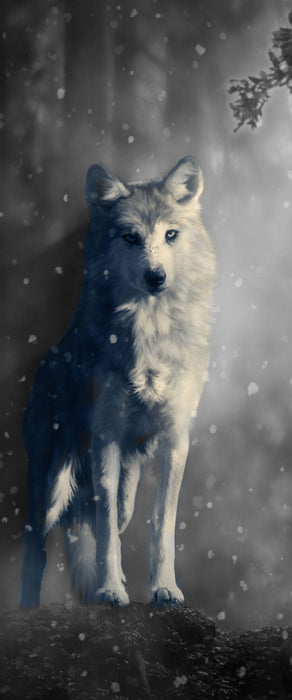 Fantasievoller weißer Wolf auf Lichtung B&W Detail, Glasbild Panorama