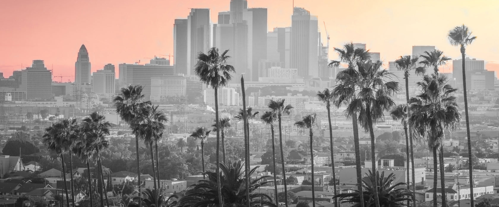 Palmen vor Skyline von Los Angeles B&W Detail, Glasbild Panorama