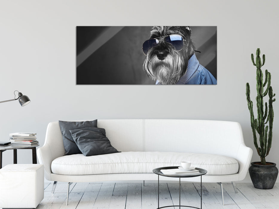 Lustiger Hund mit Hemd und Sonnenbrille B&W Detail, Glasbild Panorama