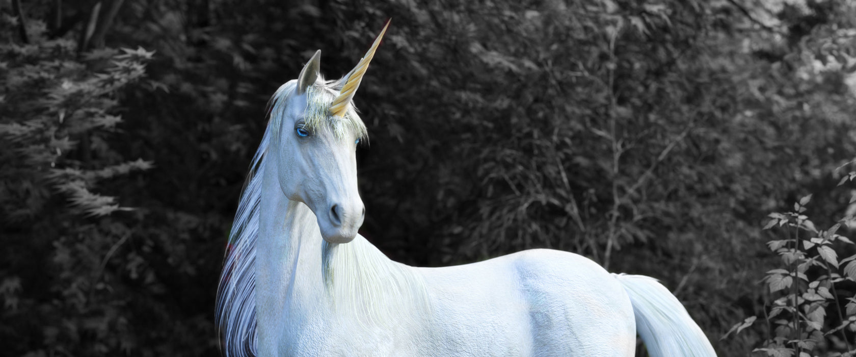 Majestätisches Einhorn in Waldsee B&W Detail, Glasbild Panorama