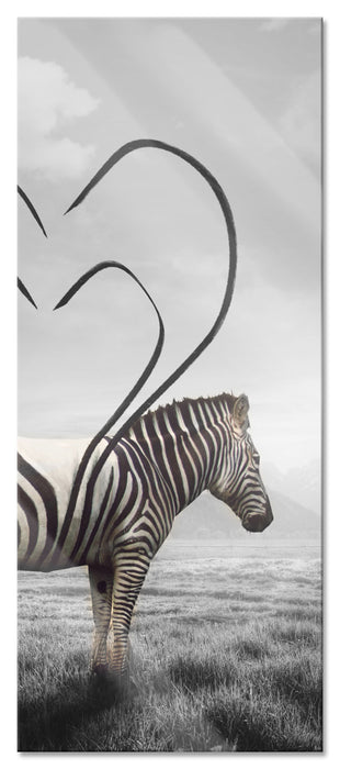 Pixxprint Zebra mit Herzbotschaft in der Savanne B&W Detail, Glasbild Panorama