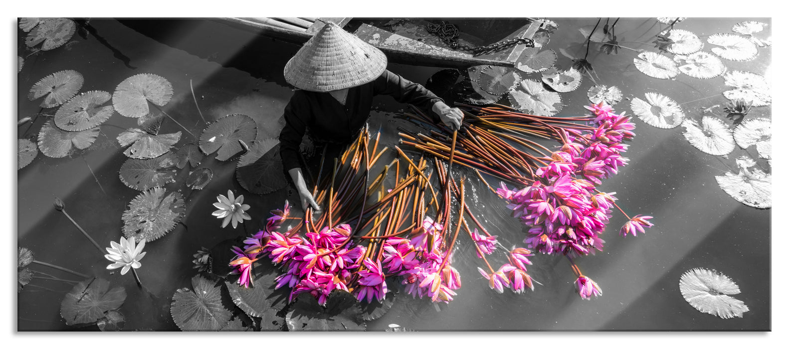 Pixxprint Wasserlilienernte mit Boot in Vietnam B&W Detail, Glasbild Panorama