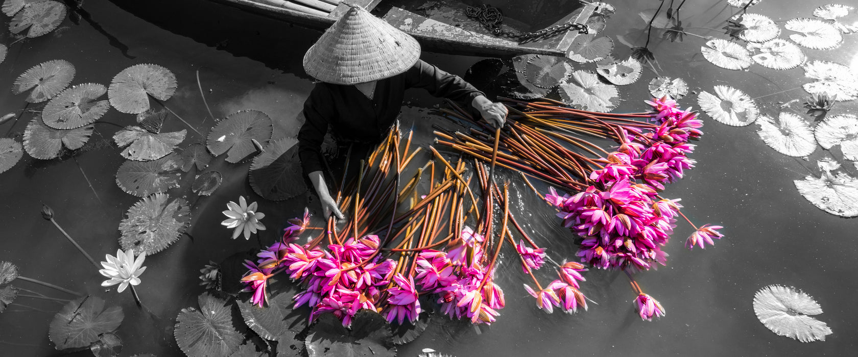 Wasserlilienernte mit Boot in Vietnam B&W Detail, Glasbild Panorama