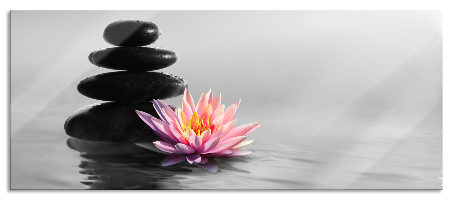 Pixxprint Zensteine mit Seerose im Sonnenuntergang B&W Detail, Glasbild Panorama