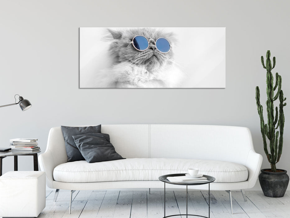 Coole Katze mit runder Sonnenbrille B&W Detail, Glasbild Panorama