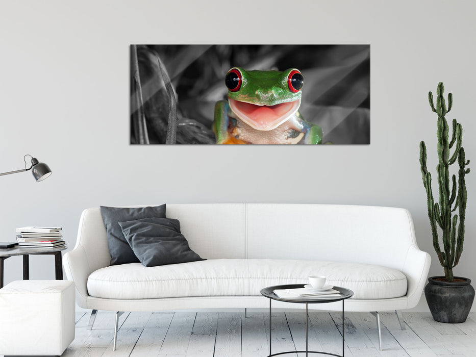 Lachender Frosch mit roten Augen auf Ast B&W Detail, Glasbild Panorama