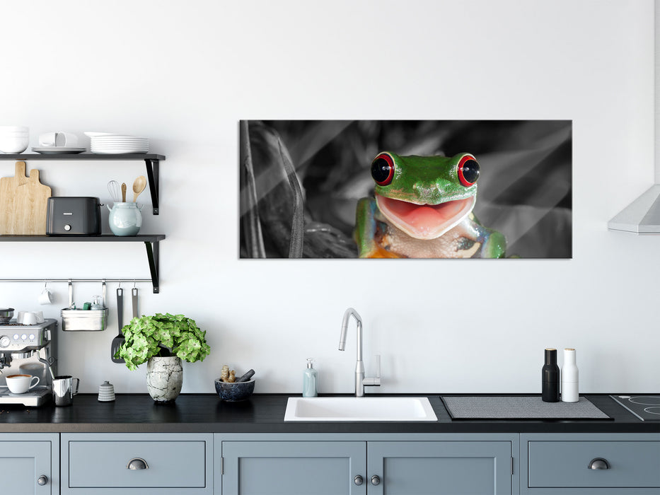 Lachender Frosch mit roten Augen auf Ast B&W Detail, Glasbild Panorama