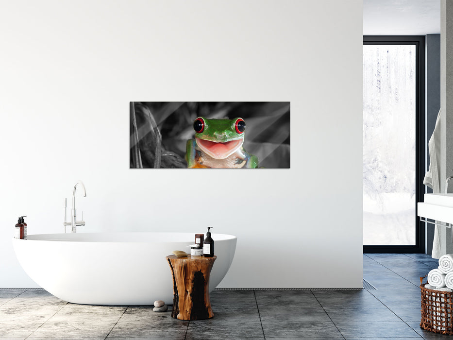 Lachender Frosch mit roten Augen auf Ast B&W Detail, Glasbild Panorama