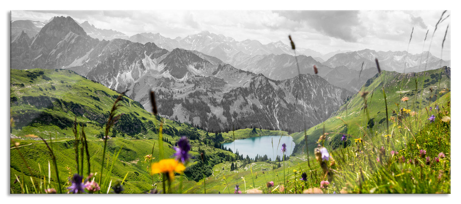 Pixxprint Wiesenblumen in den Bergen B&W Detail, Glasbild Panorama