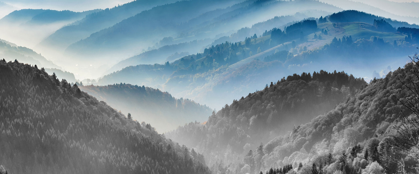 Nebelige Berglandschaft im Herbst B&W Detail, Glasbild Panorama