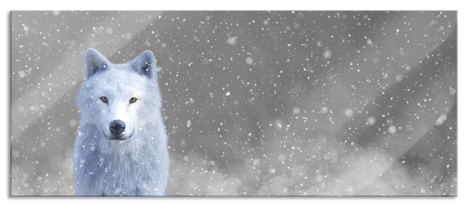 Pixxprint Majestätischer weißer Wolf im Schnee B&W Detail, Glasbild Panorama