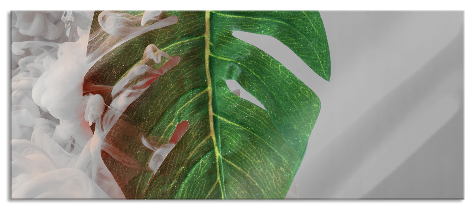 Pixxprint Monstera Blatt mit Pastelwolke B&W Detail, Glasbild Panorama