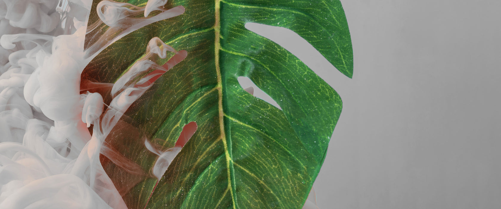 Monstera Blatt mit Pastelwolke B&W Detail, Glasbild Panorama