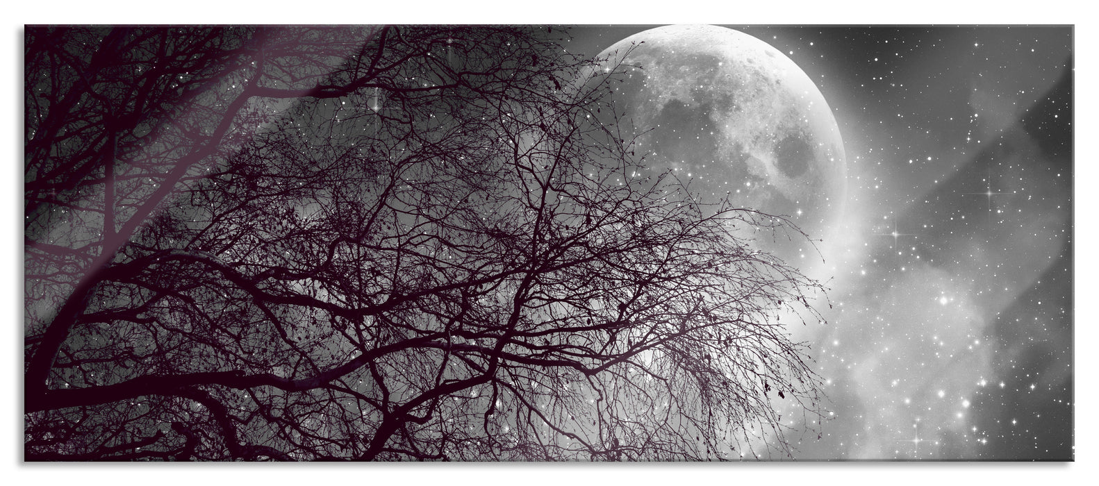 Pixxprint Winterbaum vor Vollmondnacht B&W Detail, Glasbild Panorama
