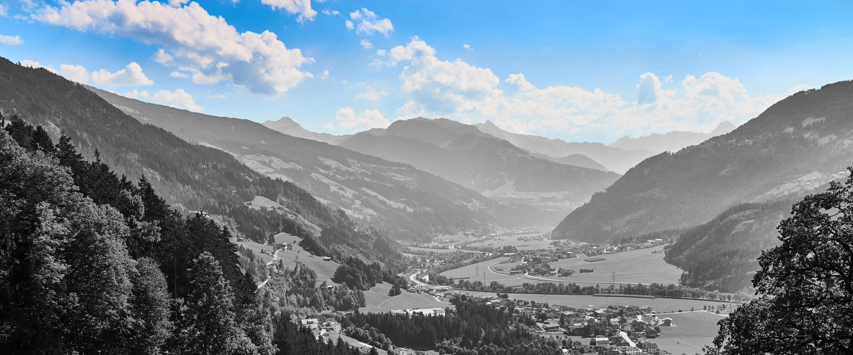 Kuhherde auf Zillertaler Almwiese B&W Detail, Glasbild Panorama