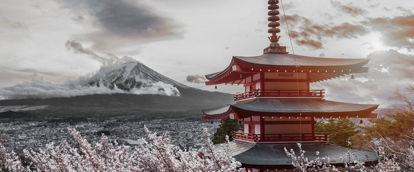 Japanischer Tempel zwischen Kirschblüten B&W Detail, Glasbild Panorama