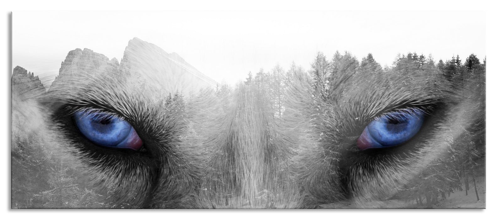 Pixxprint Overlay Wolfsaugen über Winterwald B&W Detail, Glasbild Panorama