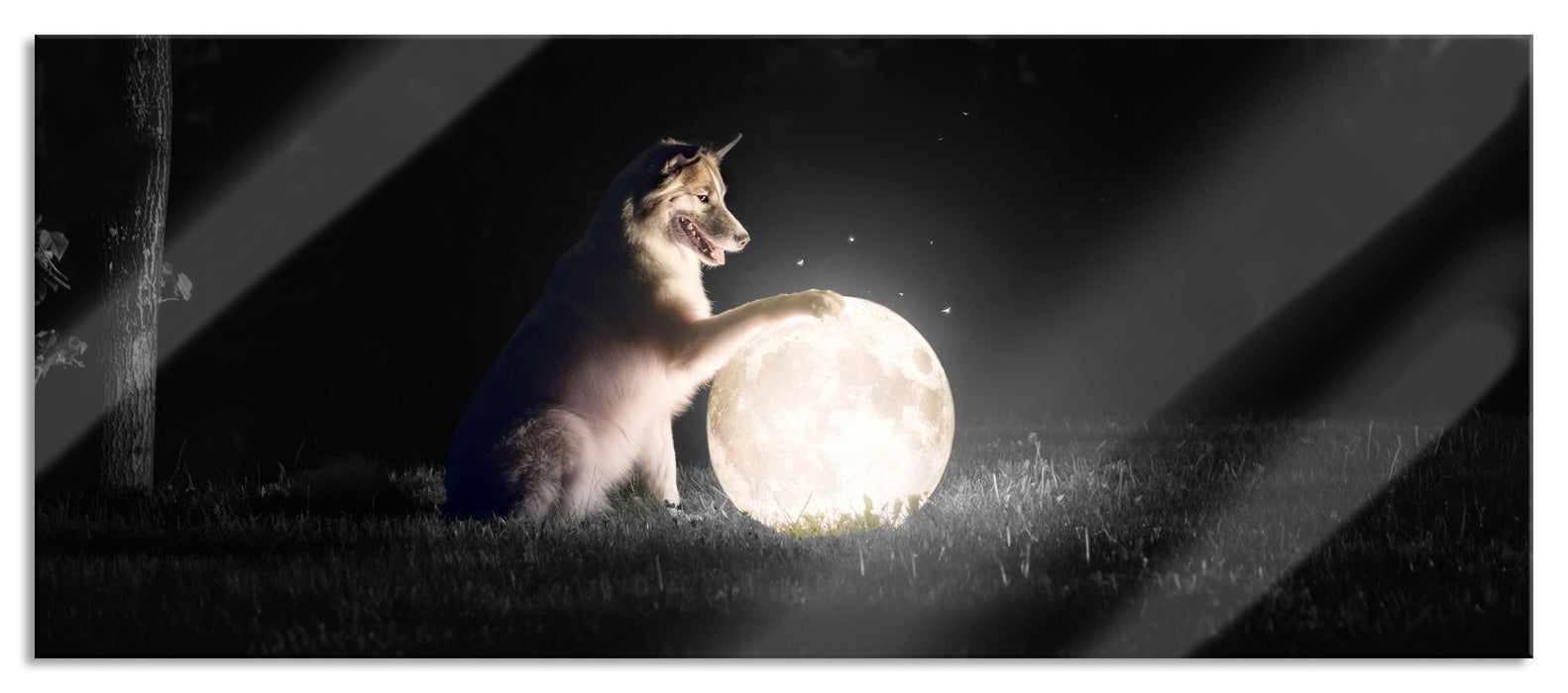 Pixxprint Hund mit leuchtendem Mond bei Nacht B&W Detail, Glasbild Panorama