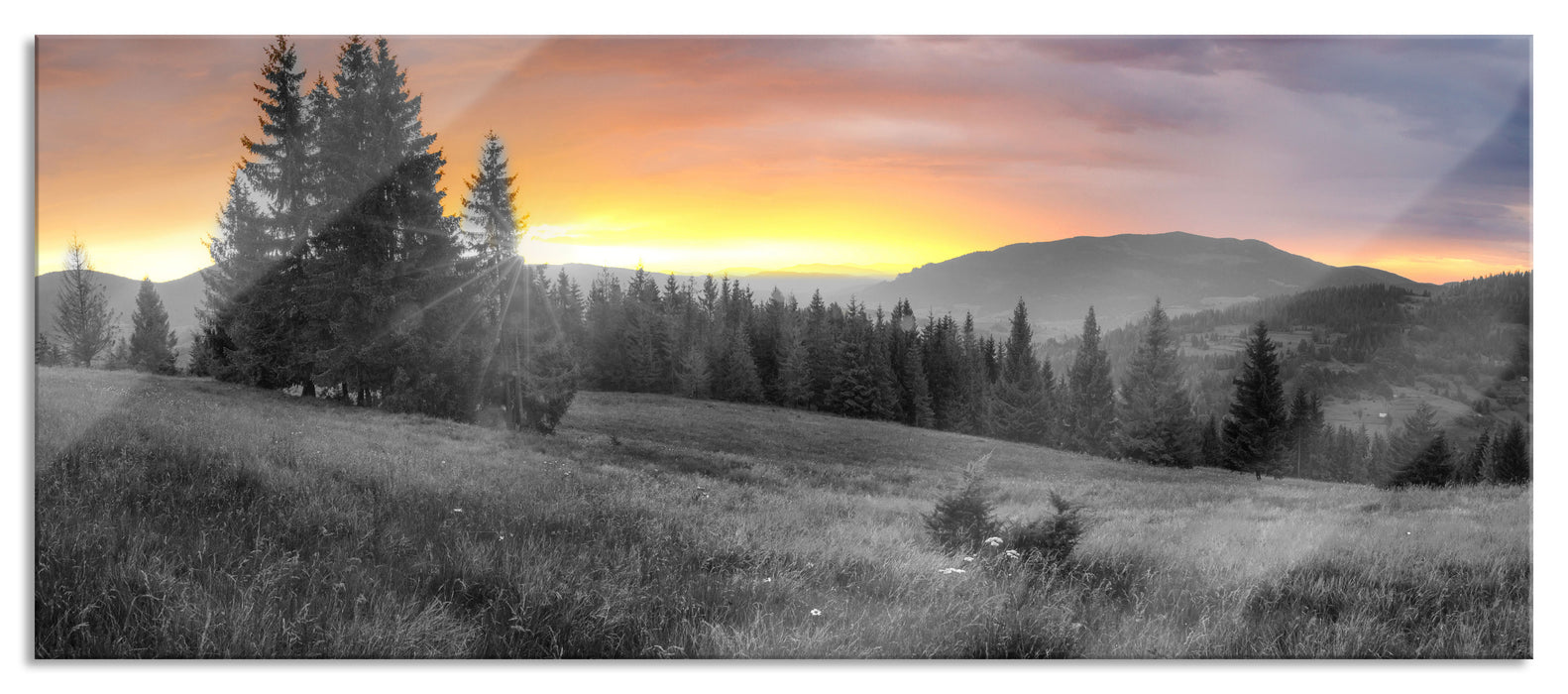 Pixxprint Wiesenlandschaft bei Sonnenuntergang B&W Detail, Glasbild Panorama