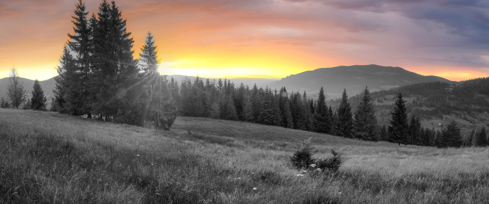 Wiesenlandschaft bei Sonnenuntergang B&W Detail, Glasbild Panorama