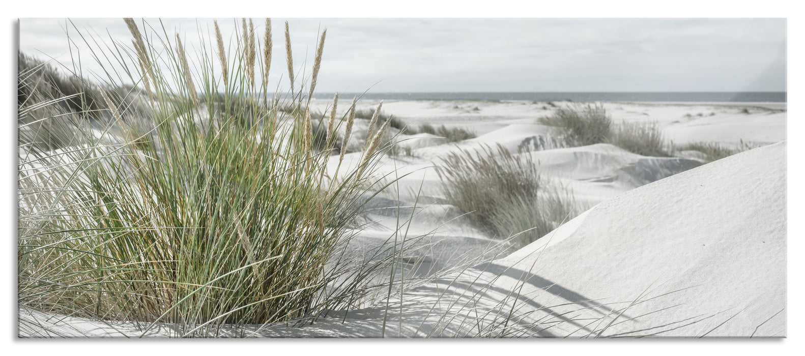 Grasige Dünenlandschaft am Meer B&W Detail, Glasbild Panorama