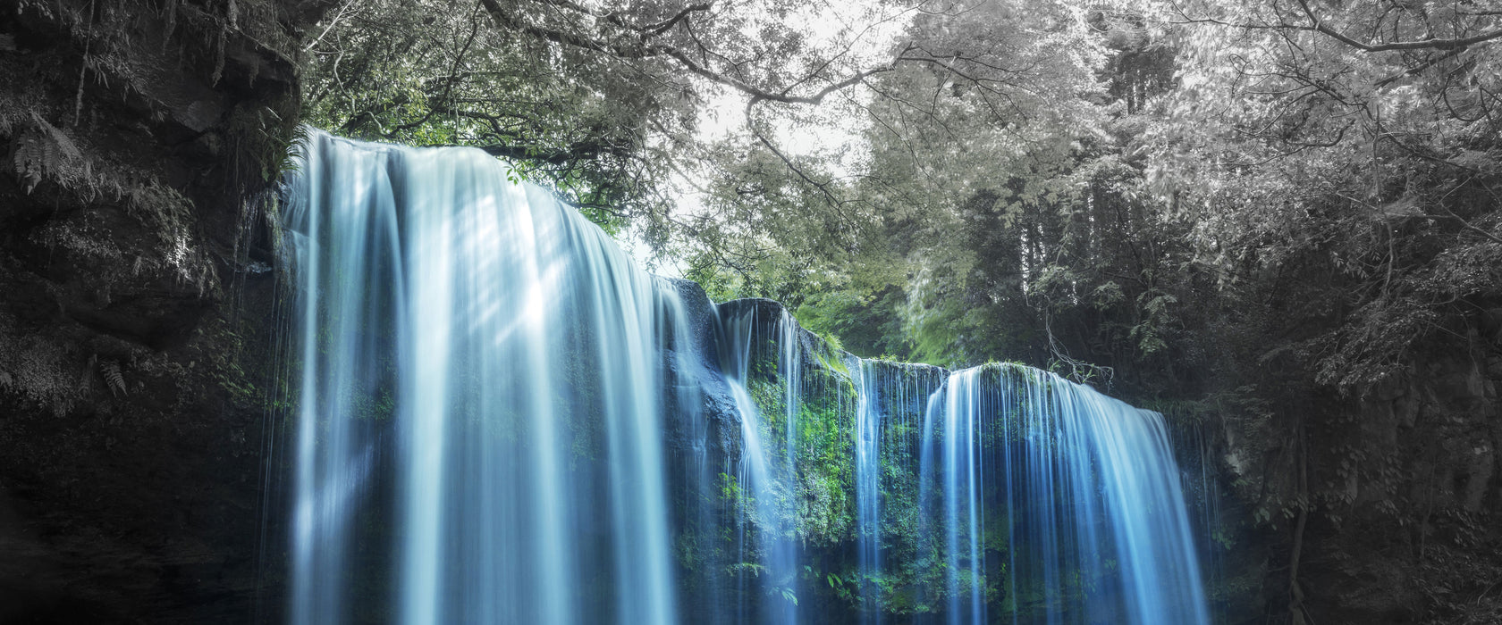 Tropischer Wasserfall im Wald B&W Detail, Glasbild Panorama