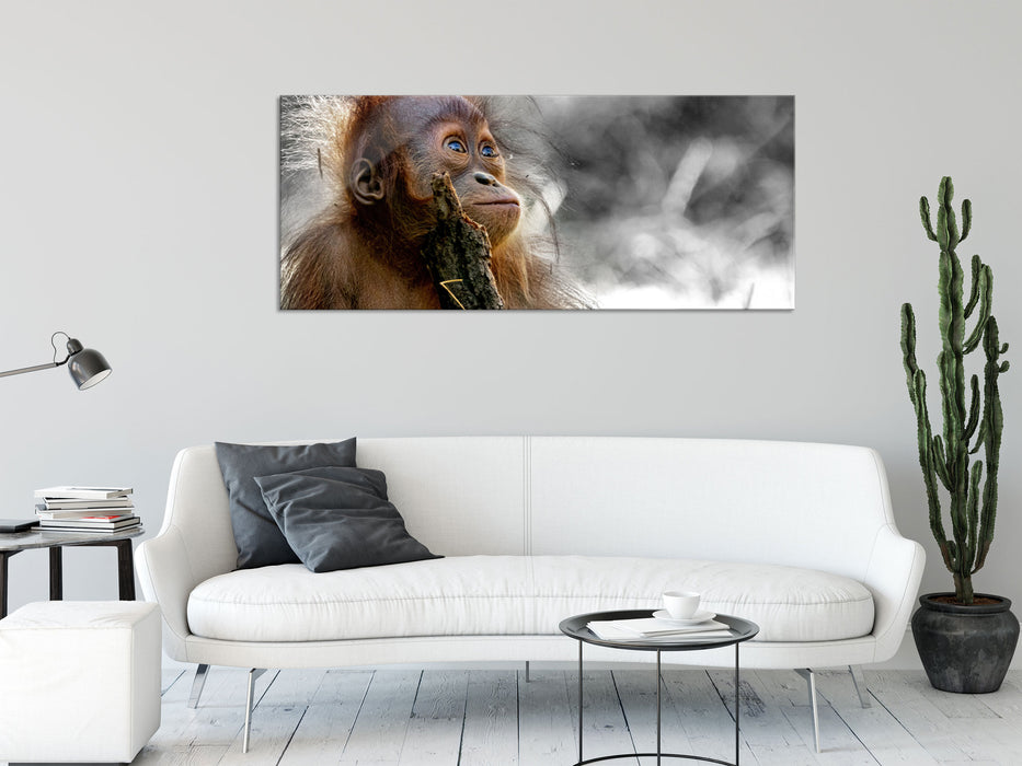 Orang-Utan Baby spielt mit Stock B&W Detail, Glasbild Panorama