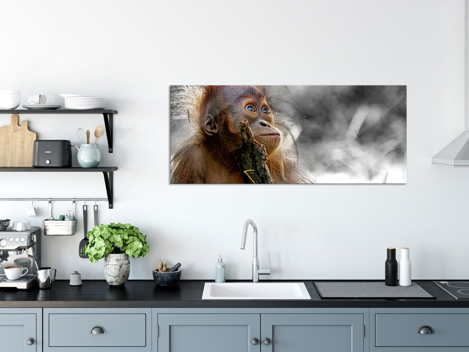 Orang-Utan Baby spielt mit Stock B&W Detail, Glasbild Panorama