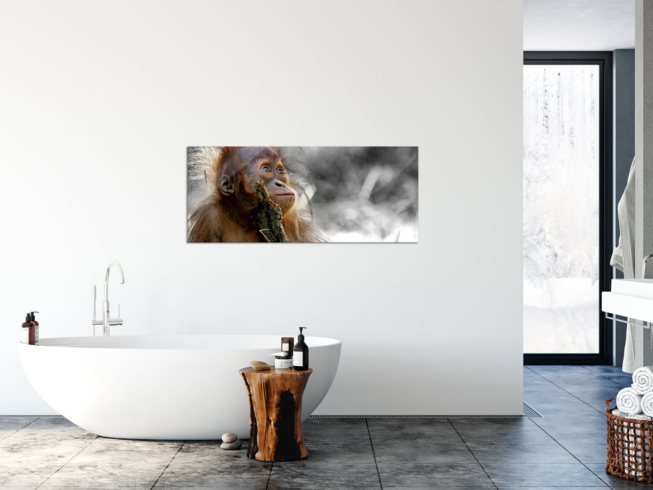 Orang-Utan Baby spielt mit Stock B&W Detail, Glasbild Panorama