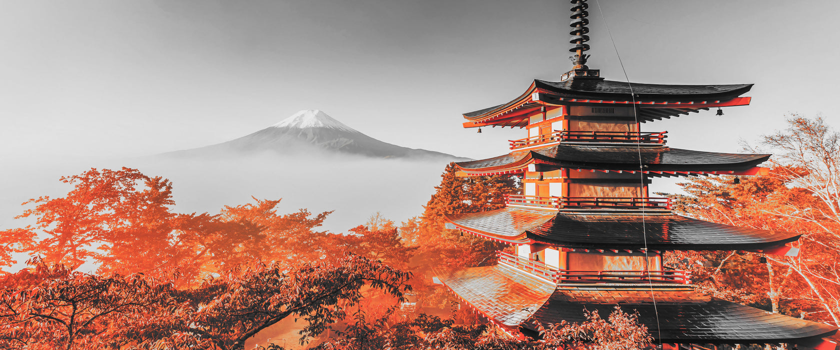 Japanischer Tempel in bunten Baumwipfeln B&W Detail, Glasbild Panorama