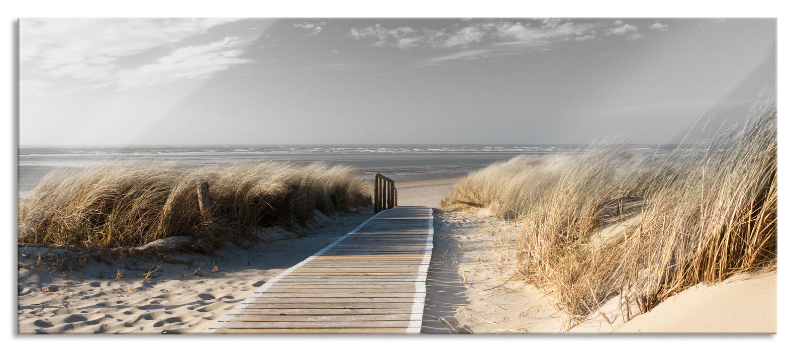 Pixxprint Weg zum Strand durch die Dünen B&W Detail, Glasbild Panorama