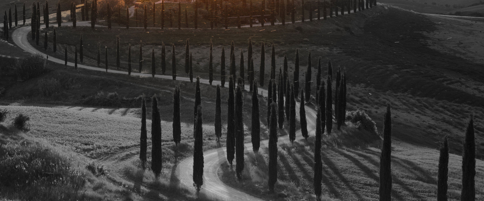 Straße in der Toskana im Sonnenuntergang B&W Detail, Glasbild Panorama