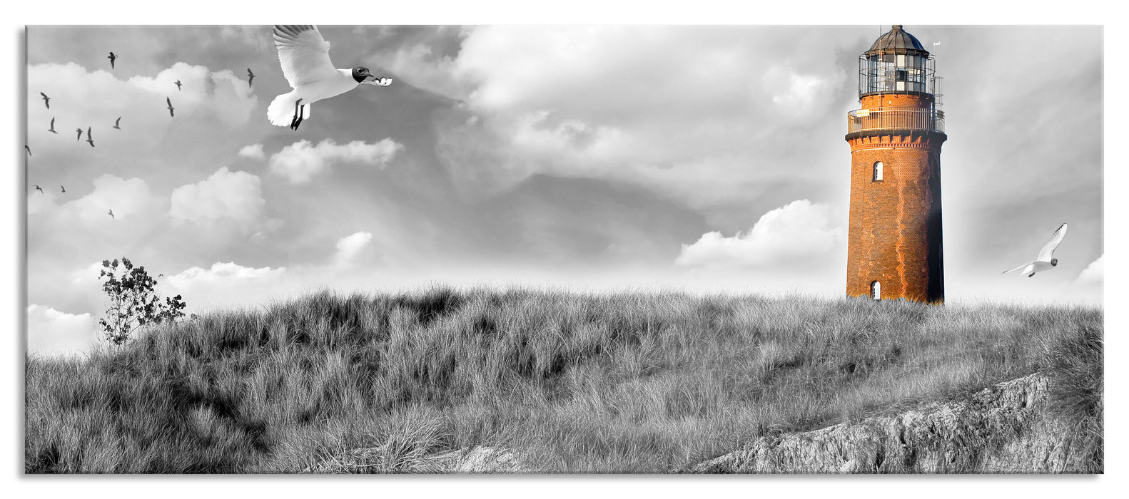 Pixxprint Möwen fliegen am Meer vor Leuchtturm B&W Detail, Glasbild Panorama