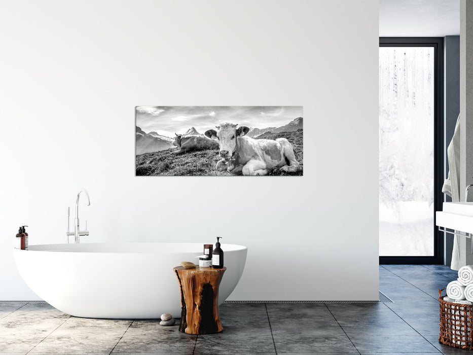 Simmentaler Kühe vor Schweizer Alpen, Monochrome, Glasbild Panorama