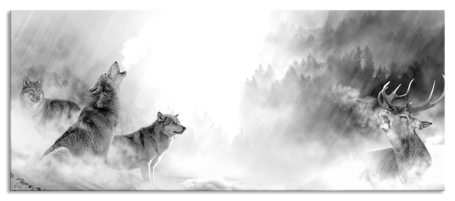 Pixxprint Heulende Wölfe jagen Hirsch im Nebel, Monochrome, Glasbild Panorama