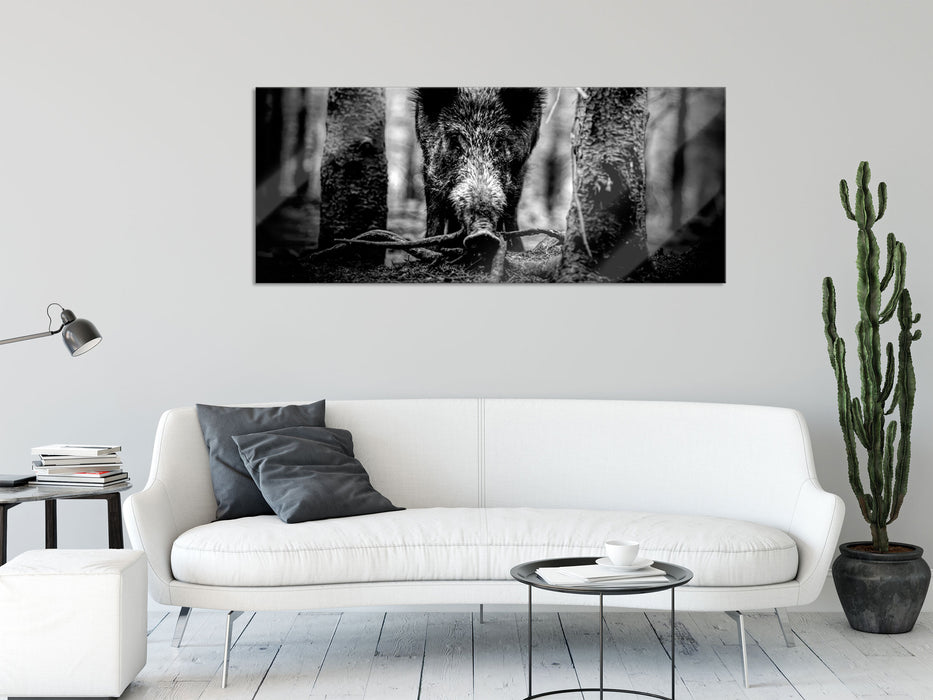 Nahaufnahme Wildschwein im Wald, Monochrome, Glasbild Panorama