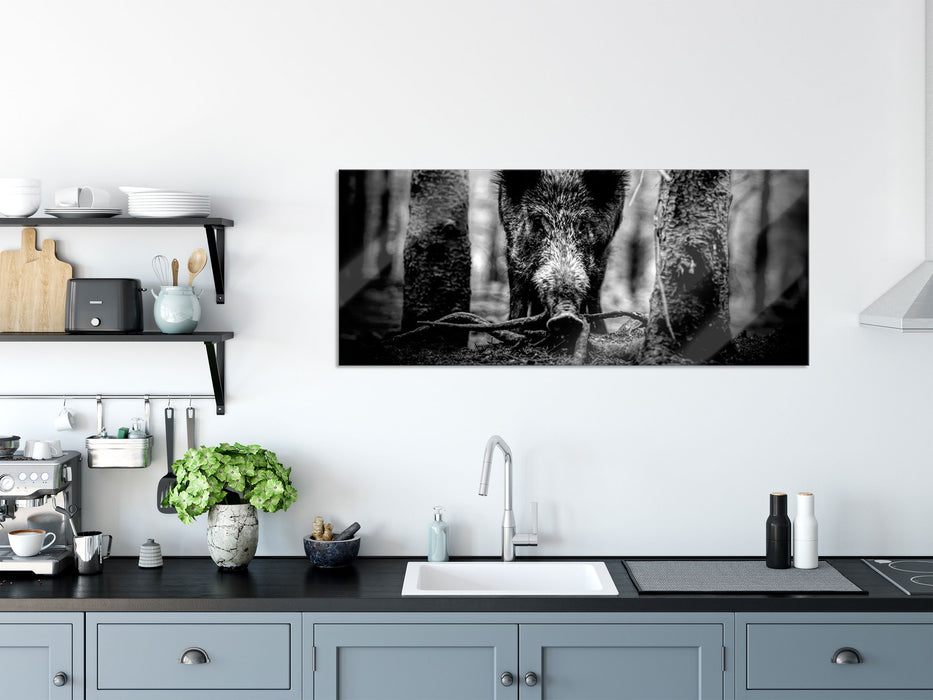 Nahaufnahme Wildschwein im Wald, Monochrome, Glasbild Panorama