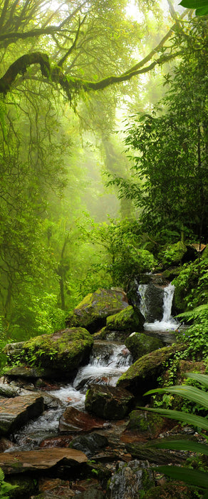 Kleinder Wasserfall im Dschungel, Glasbild Panorama