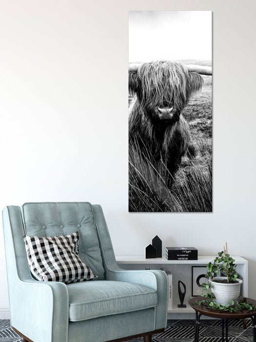 Highland Rind mit großen Hörnern Steppe, Monochrome, Glasbild Panorama