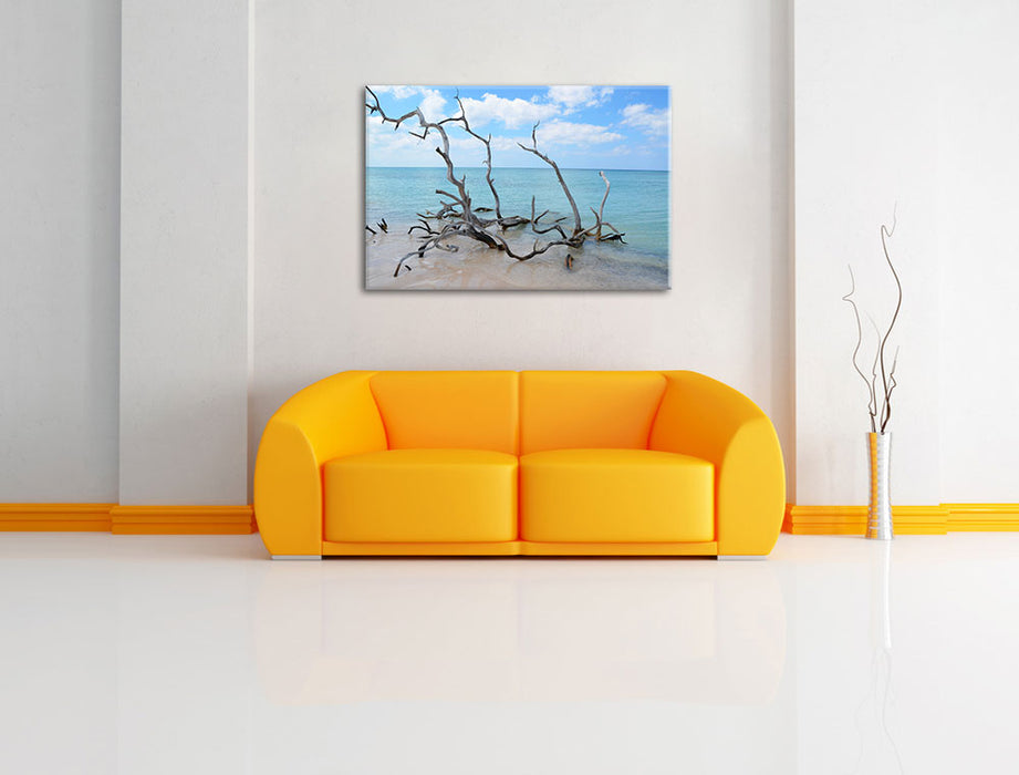 Strand mit Treibholz in Kuba Leinwandbild über Sofa