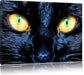Schwarze Katze mit gelben Augen Leinwandbild