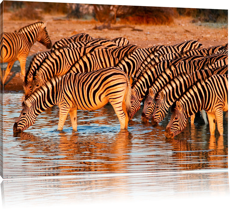Pixxprint Zebraherde an Wasserloch, Leinwandbild