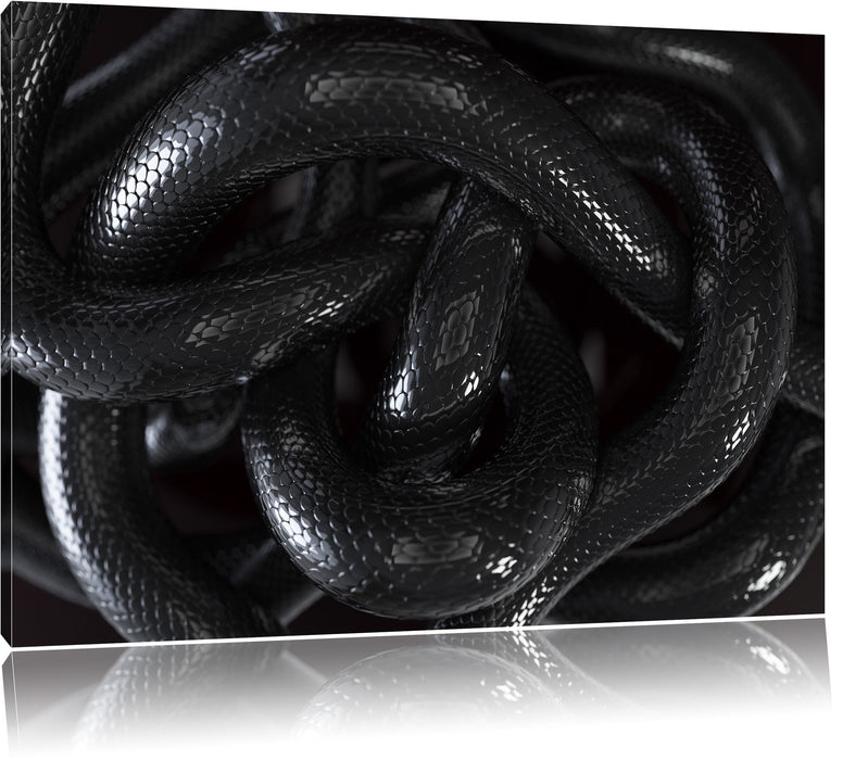 Schwarze elegante Schlange Leinwandbild