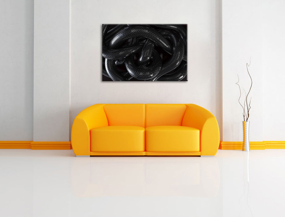 Schwarze elegante Schlange Leinwandbild über Sofa