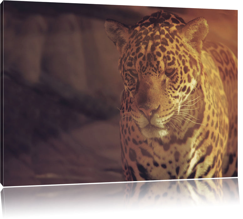 Pixxprint Anmutiger Leopard, Leinwandbild