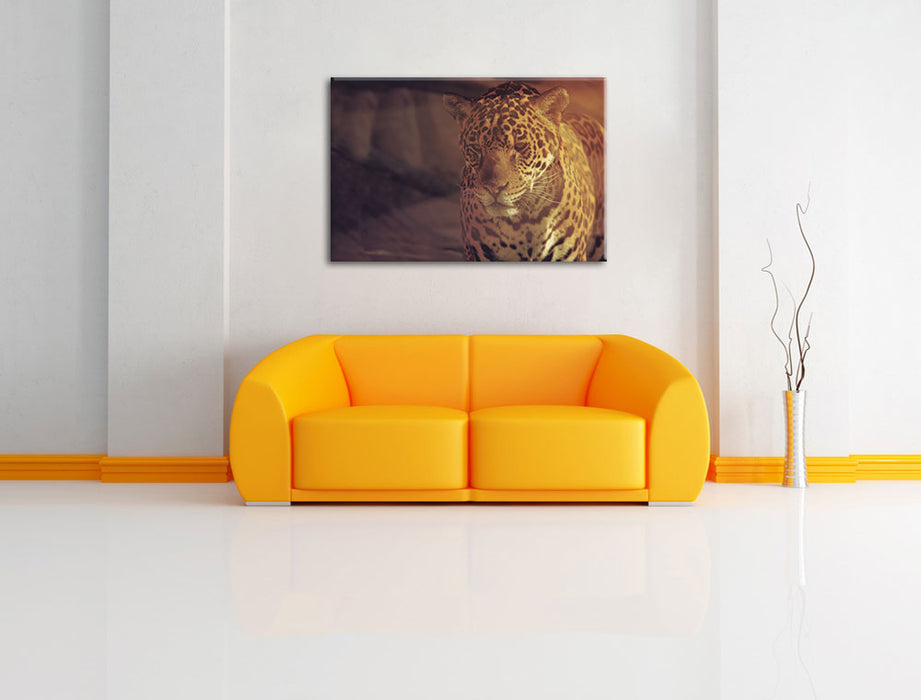 Anmutiger Leopard Leinwandbild über Sofa