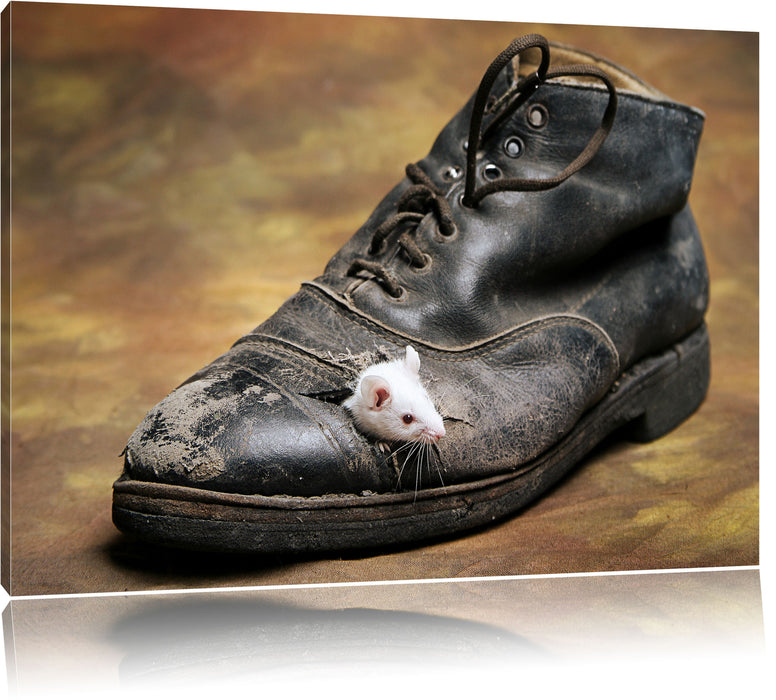 Pixxprint Maus in schwarzem Schuh, Leinwandbild