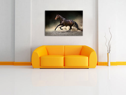 Anmutiges dunkles Pferd Leinwandbild über Sofa