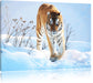 Stolzer Tiger im Schnee Leinwandbild