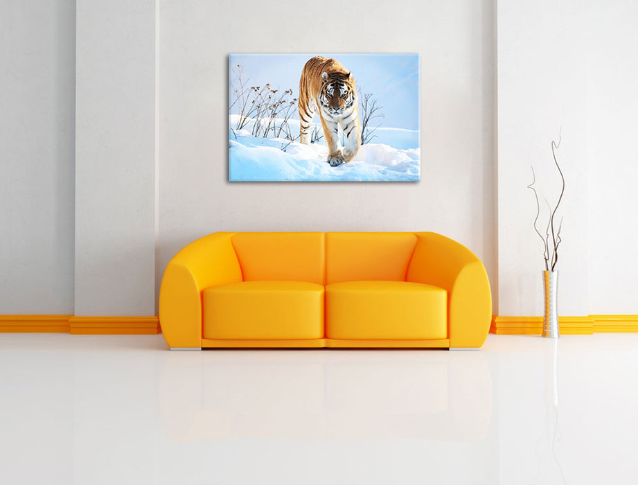 Stolzer Tiger im Schnee Leinwandbild über Sofa
